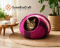 Cat in a colorful felted pet bed with 'SusieEcoCraft' branding in a home setting.